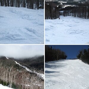 Whiteface April 2008