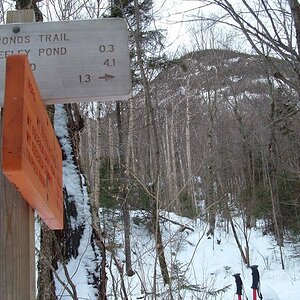Greely Pond Trail and Osceola Trail Junction