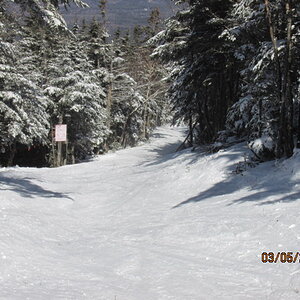 Tuckerbrook entrance-connector trail to Mittersill.JPG