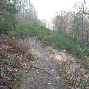 Robinson State Forest 2009-11-22