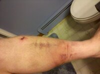 IMG_20101212_190646.jpg