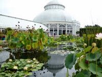 Monet's Garden NYBG.jpg