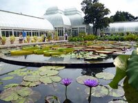 Monet's Garden NYBG 2.JPG