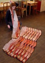 baconscarf.jpg