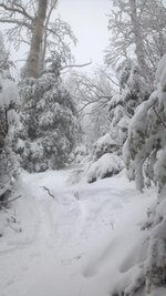 2012-12-19_13-53-03_699.jpg