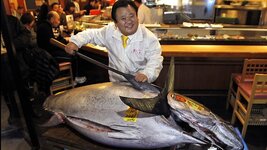 246027-record-tuna-kiyoshi-kimura.jpg