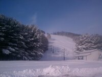 IMG_20130201_091047.jpg