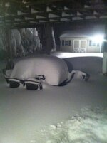 blizzard.jpg