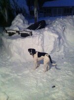 blizzard 2.jpg