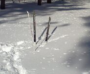 skis in the snow.jpg