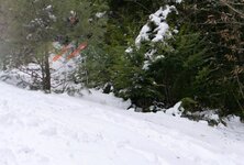 556120_427099877369219_1230285756_n.jpg