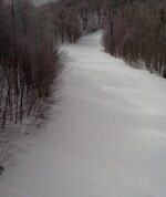 MCSB empty trails 3413.jpg