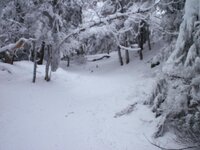 Okemo 118.jpg Okemo 118.jpg