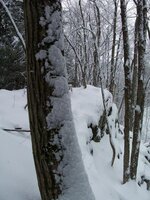 4-100_9186.jpg