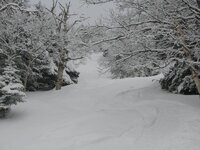 IMG_5451.jpg