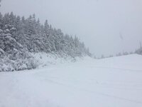 ImageUploadedByAlpineZone1480818338.510044.jpg ImageUploadedByAlpineZone1480818338.510044.jpg
