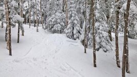 Killington-April8-2.jpg