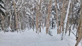 Killington-3-15_01.jpg