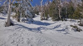 Sugarbush-4-22_03.jpg