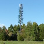 Cell_phone_tower_disguised_2008.jpg