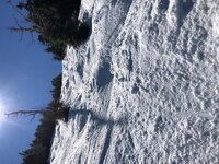 Sugarbush 4.17.19.jpg