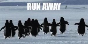 Run Away.jpg