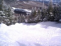 IMG_20130325_125226.jpg