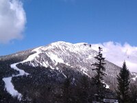 IMG_20130326_122035.jpg