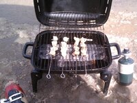 IMG_20130325_132812.jpg