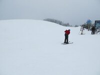 IMG_1931.jpg