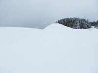 IMG_1933.jpg