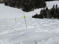 IMG_1963.jpg