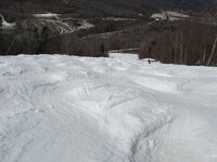 IMG_1974.JPG