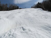 IMG_1973.JPG