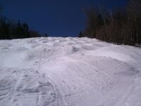IMG_20130428_112331.jpg