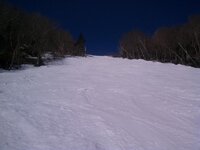 IMG_20130428_085419.jpg