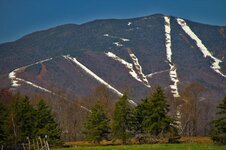 sugarbush_130502.jpg