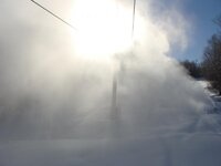 DSC08747.jpg
