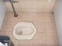 chinese toilet.png