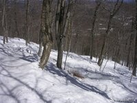 okemo2.JPG