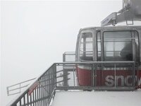 Snowbird 8.19.21.jpg