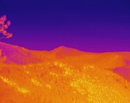 Heavenly_12_Thermal_1630671516.jpg