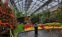 longwood gardens conservatory.jpg