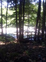 IMG_20240601_131147.jpeg