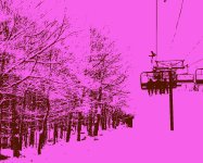 Chair lift brown.jpeg