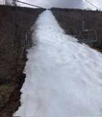 IMG_9076.jpeg