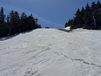 IMG_8690.jpeg