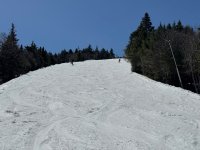 IMG_8721.jpeg
