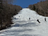 IMG_8743.jpeg