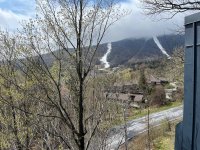 IMG_3031.jpg